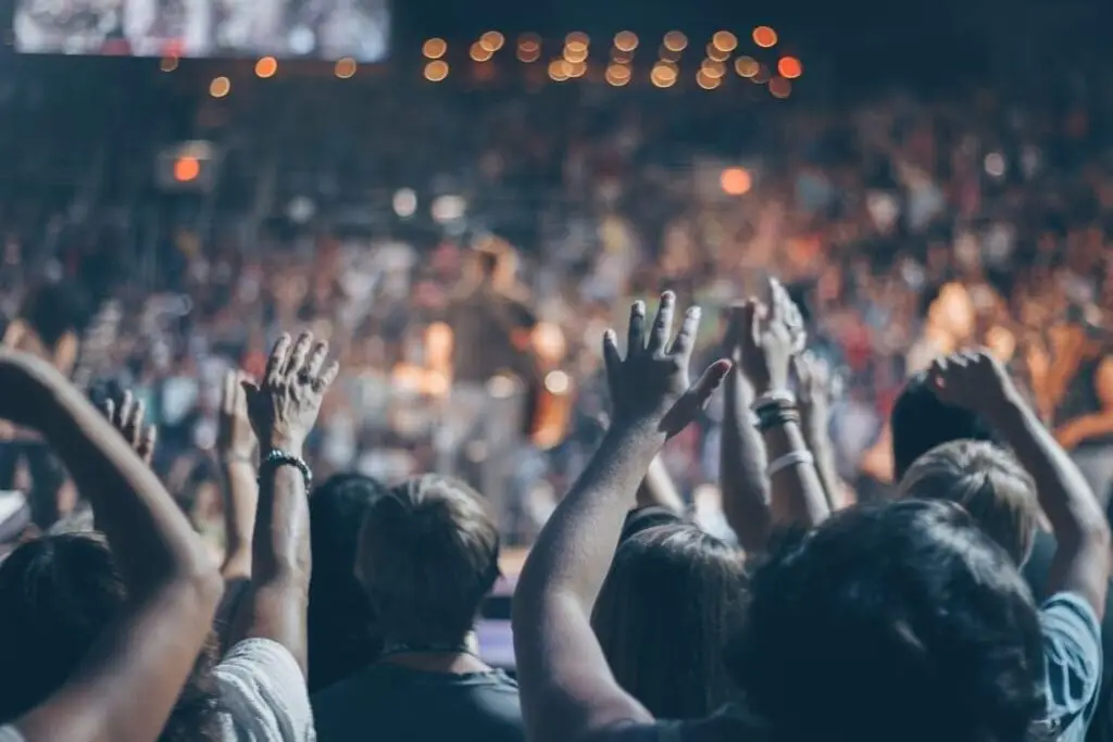 Picture showing people attending a concert