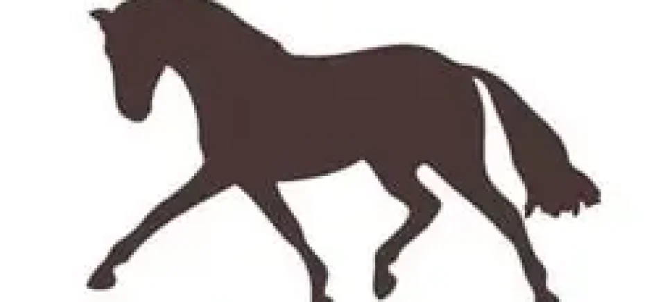 king-horse