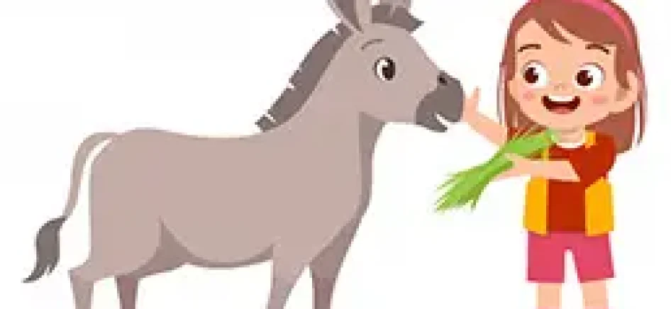 The Little Donkey Called Bil’am
