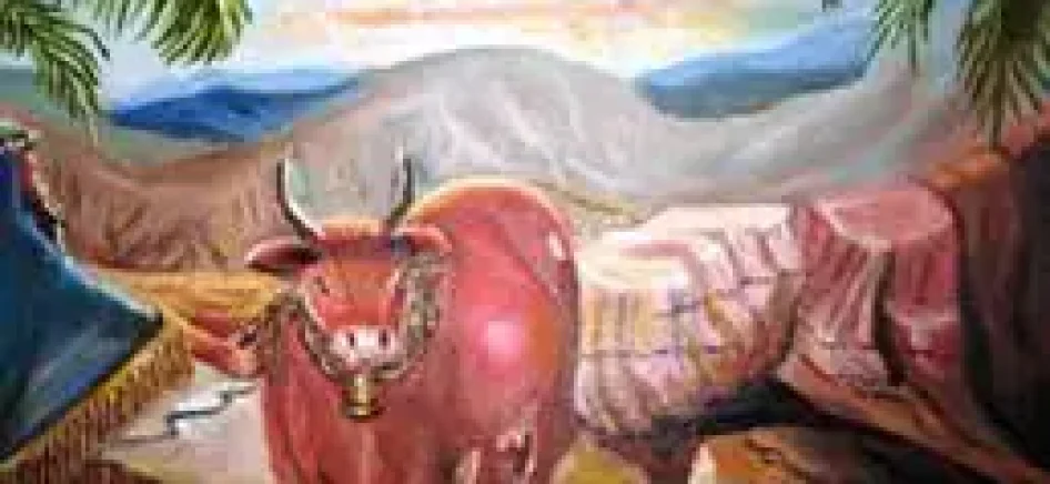 the-riddle-of-the-red-heifer