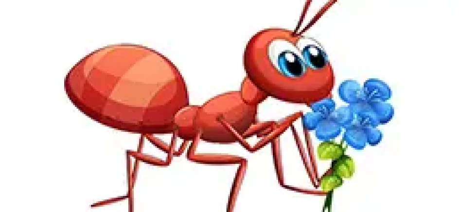through-the-eyes-of-the-ant