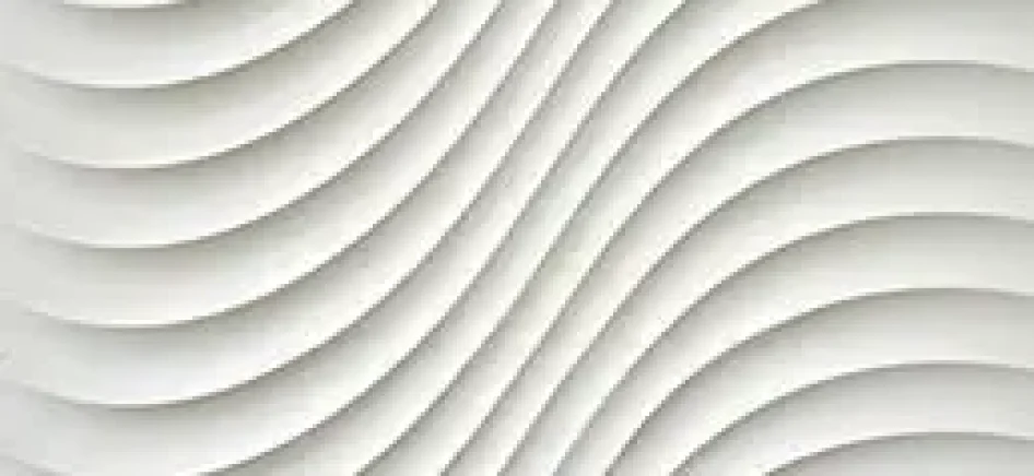 which-is-the-true-white